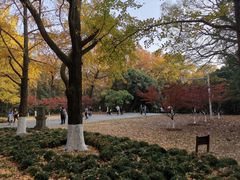-灵谷景区
