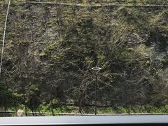 -苏州清山会议中心
