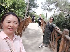 -铁山坪森林公园