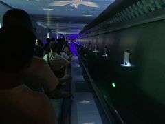 -白鹤梁水下博物馆