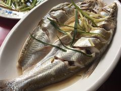 清蒸白水鱼-长廊饭店(锦溪古镇店)