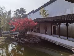 -秋霞圃