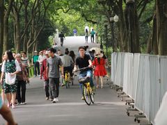 -苏堤停车场