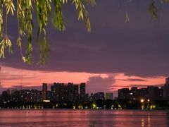 -天鹅湖体育公园