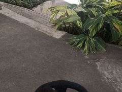 -晓港公园