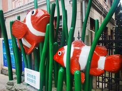 -青岛海底世界-水族馆