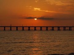 景点-宝安西湾红树林湿地公园