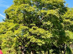 -丰台花园