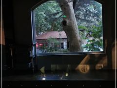 -穹六人间 people 6(岳阳路店)