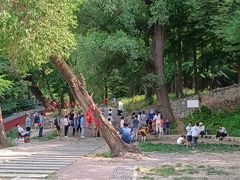 -阳台山自然风景区