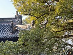 -普陀山风景区-佛顶山