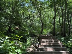 -大岭沟猕猴桃谷风景区