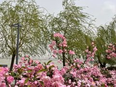 -云龙湖旅游景区