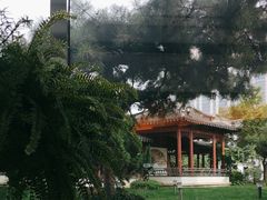 -亮马河饭店翠雅咖啡厅