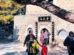 -白水寺森林公园