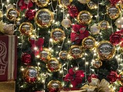 -广州富力丽思卡尔顿酒店