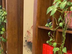 -颐和养生会所·按摩·spa(碧海云天店)