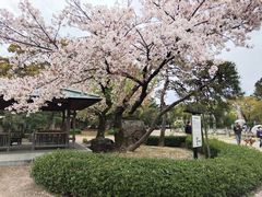 -帝京日语(春熙路旗舰校区)