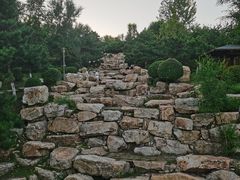 -莫子山公园