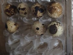 鲜鹌鹑蛋-盒马鲜生(杨高南路店)