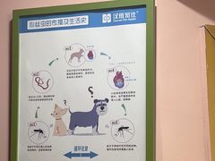 -车接车送·寄养洗护·德文猫舍(大宁店)