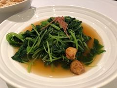 -苏浙汇(朝外店)
