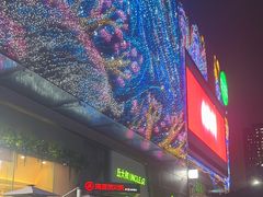 -海底捞火锅(龙岗星河COCO Park店)
