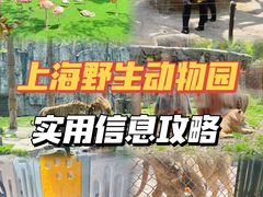 -上海野生动物园