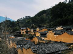 -杨家堂村