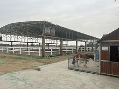 -上海崇明金茂凯悦酒店
