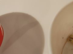 -湖锦酒楼·旗舰店(三阳总店)