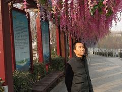 -西安汉城湖景区