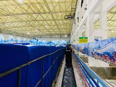 -乔波室内滑雪场