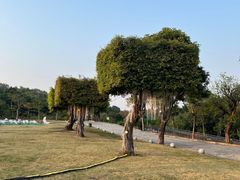 -深圳野生动物园