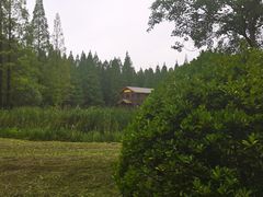 -黄海国家森林公园