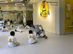 -勇气斑马·巴西柔术&跆拳道(浦东三林店)