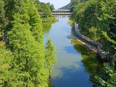 -广州市帽峰山景区