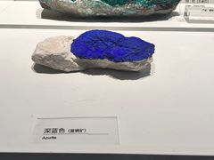 -重庆自然博物馆(新馆)