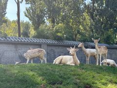 -北京野生动物园