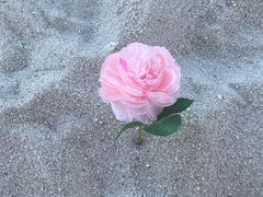 -碧海银沙景区