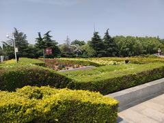 -洛阳市隋唐城遗址植物园