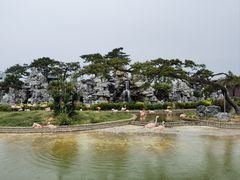 -泉城欧乐堡海洋极地世界