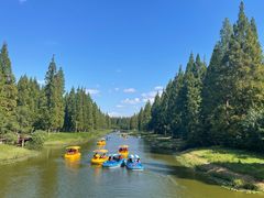 -黄海国家森林公园