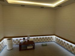 -颜动养生馆·智能艾灸·专业推拿·盐蒸