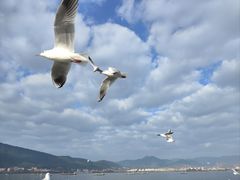 -海埂大坝