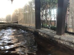 -杭州第一世界大酒店·云曼温泉