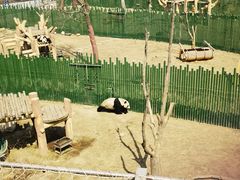 -沈阳森林动物园