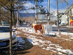 -五台山风景名胜区