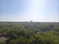 -北海金海湾红树林生态旅游区