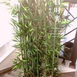 喜欢酸菜鱼,来这家吃不会错。